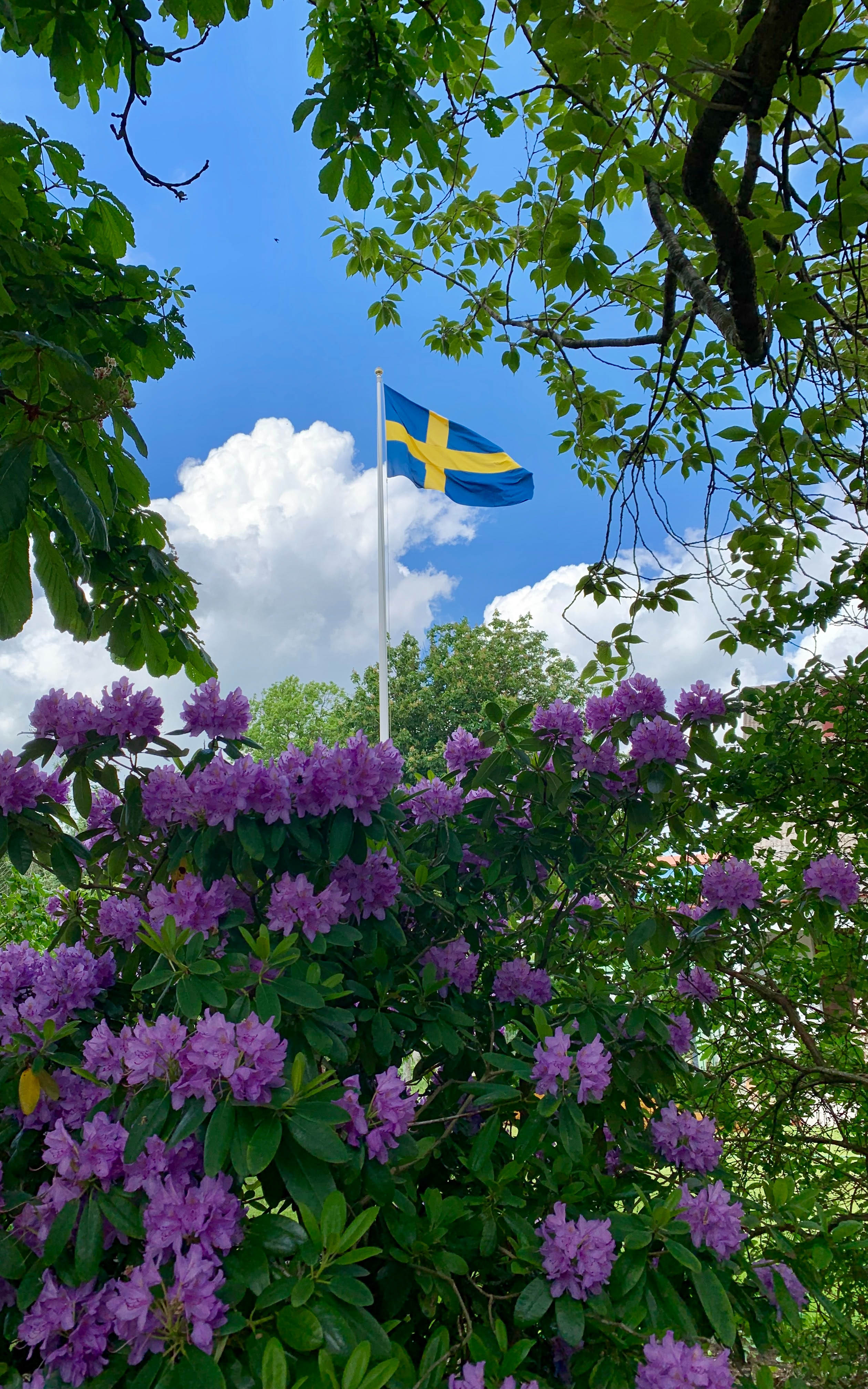 fiori e bandiera